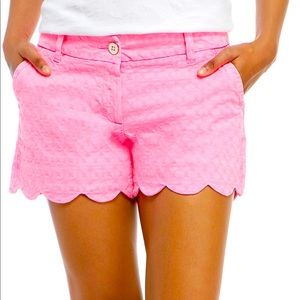 NWOT Perfect length Crown & Ivy shorts!